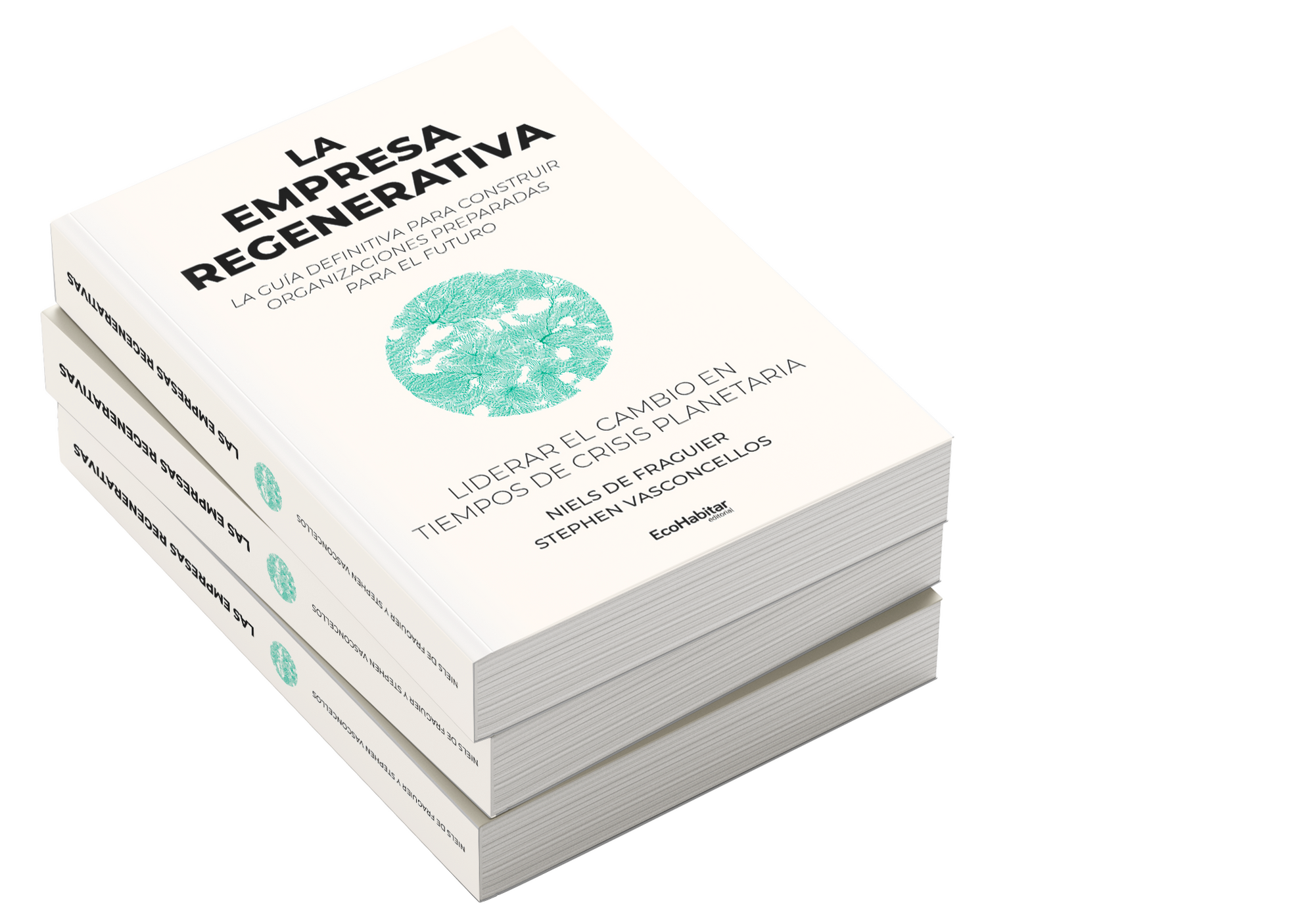 Brújula para empresas regenerativas